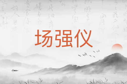 场强仪