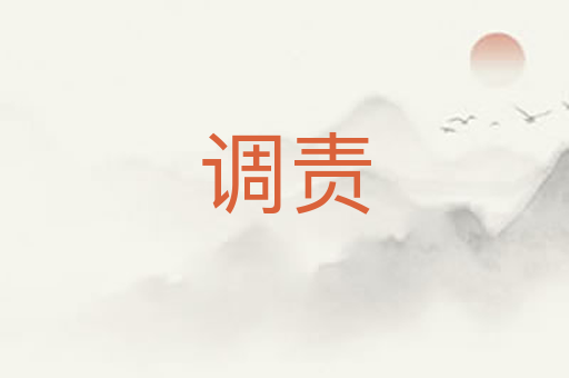 调责