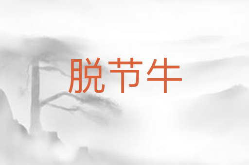 脱节牛