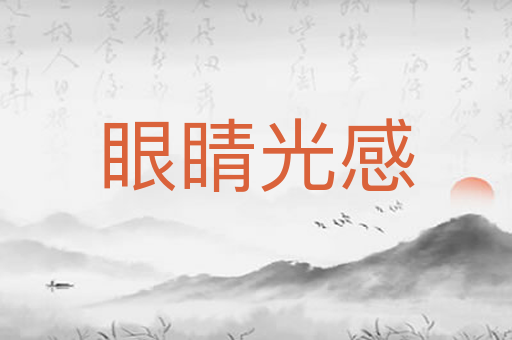 眼睛光感