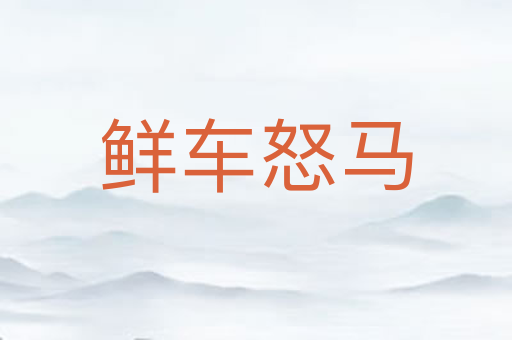 鲜车怒马