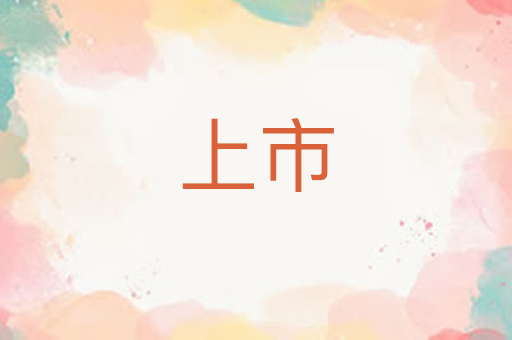上市