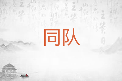 同队