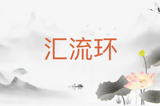 汇流环