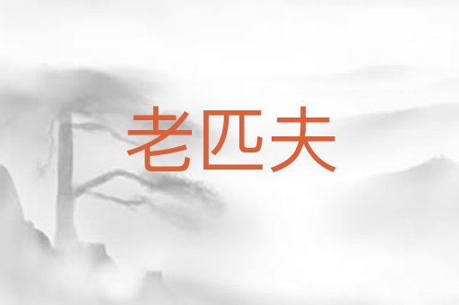 老匹夫