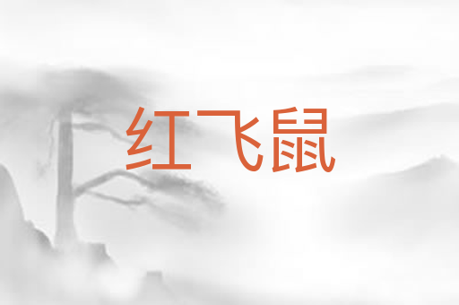 红飞鼠