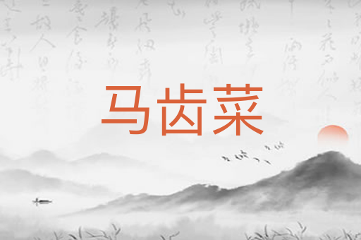 马齿菜
