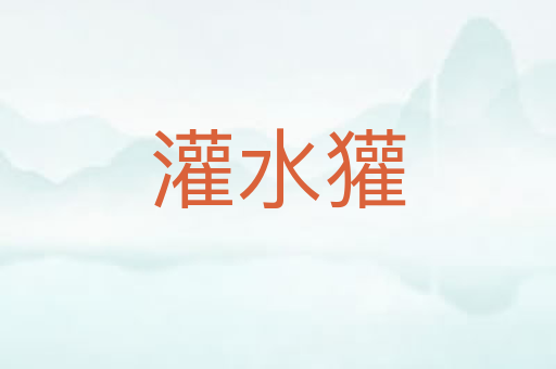 灌水獾