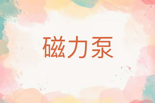 磁力泵
