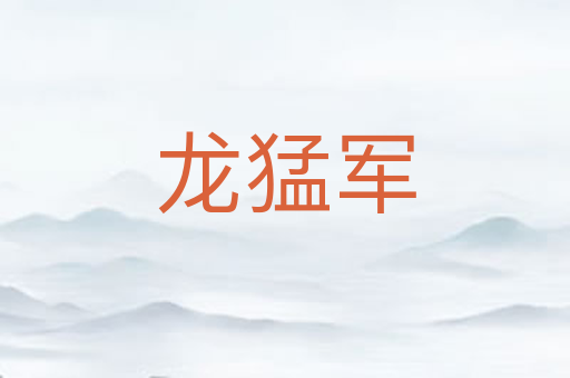 龙猛军
