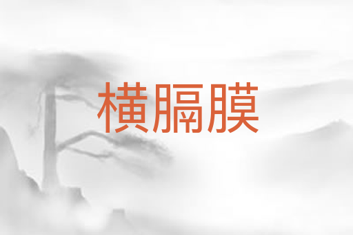 横膈膜