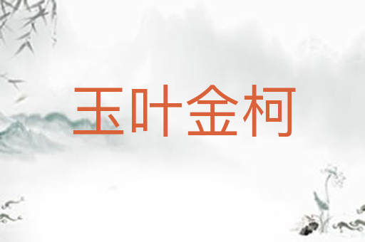 玉叶金柯