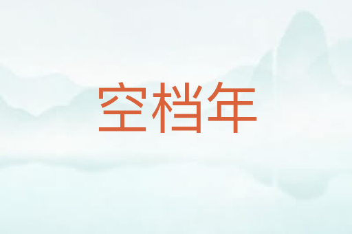 空档年