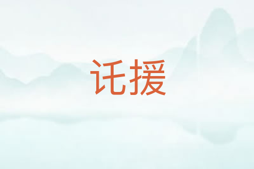 讬援