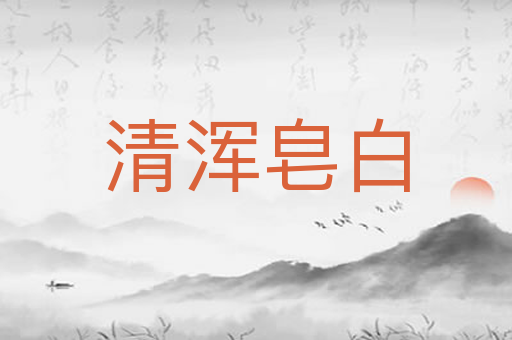 清浑皂白