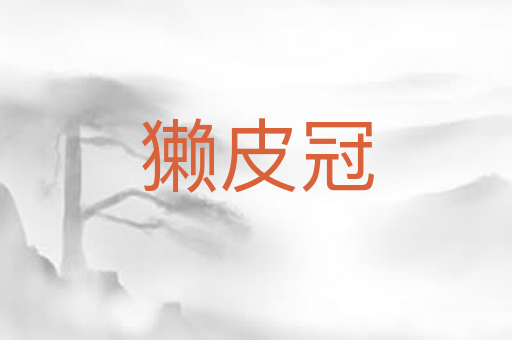 獭皮冠