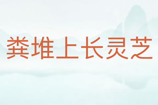 粪堆上长灵芝