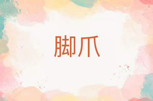 脚爪