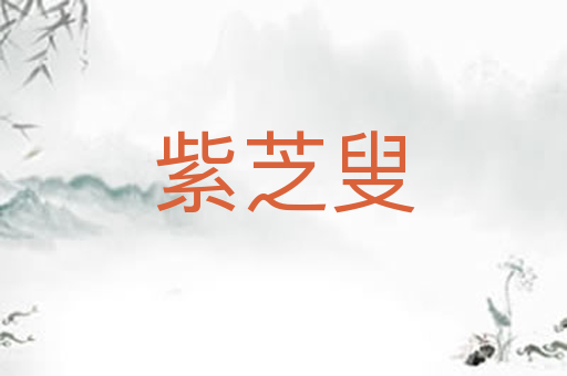 紫芝叟