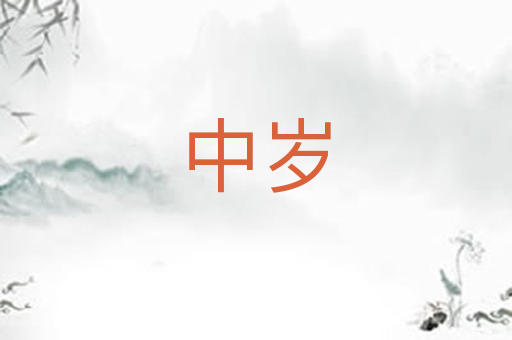 中岁