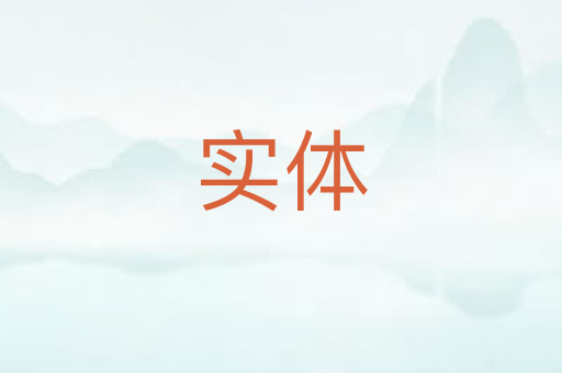 实体
