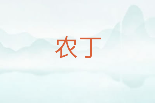 农丁