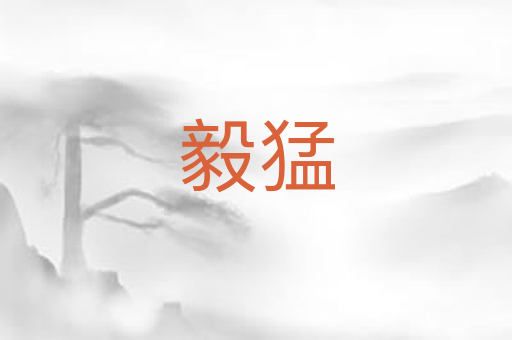 毅猛