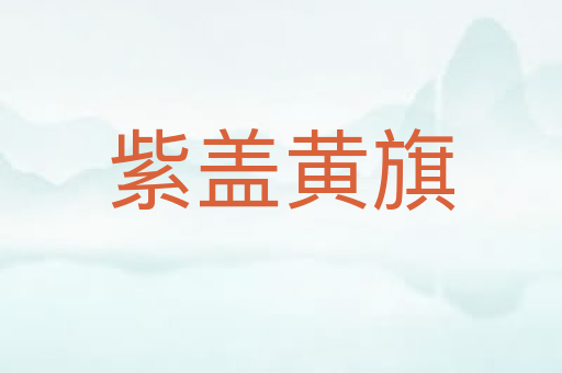 紫盖黄旗