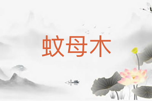 蚊母木