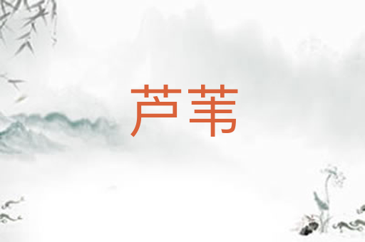 芦苇