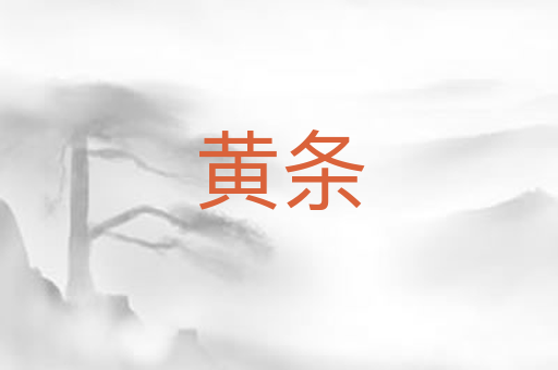 黄条