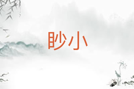 眇小