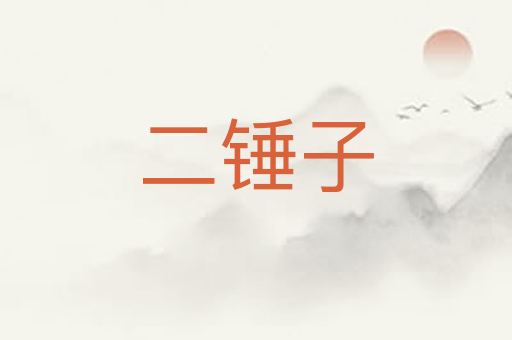 二锤子