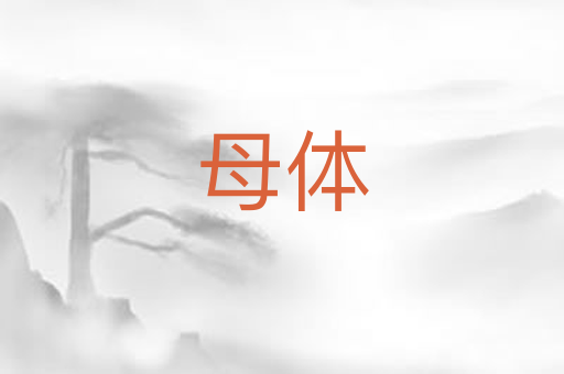母体