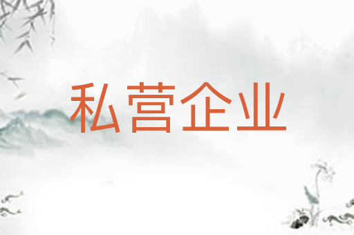 私营企业