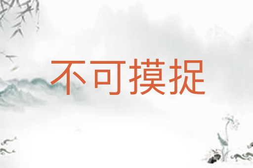 不可摸捉