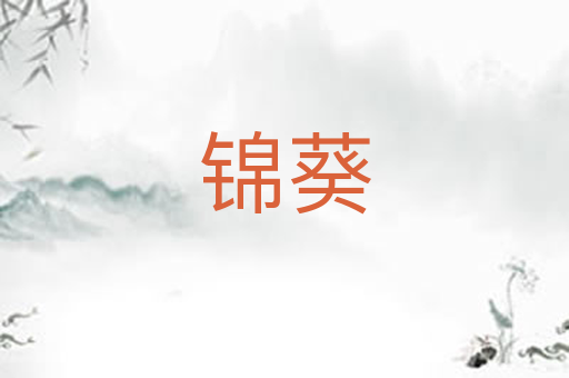 锦葵