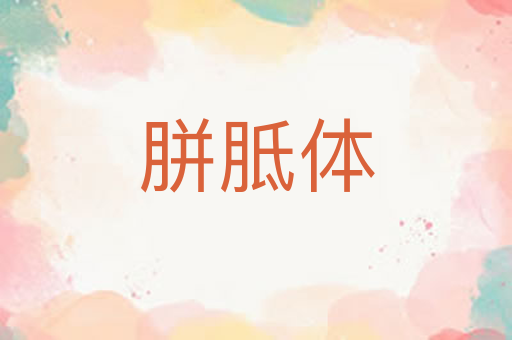 胼胝体