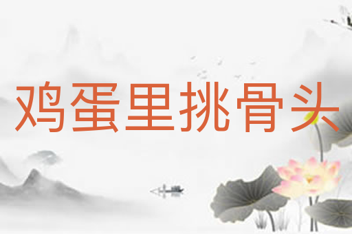 鸡蛋里挑骨头