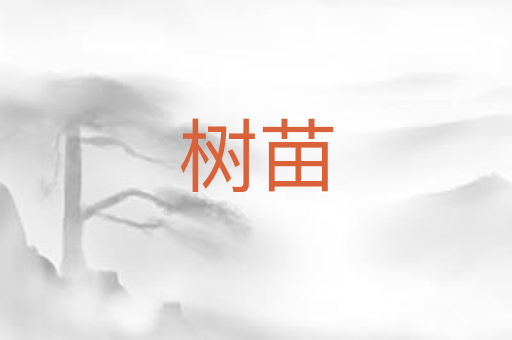 树苗