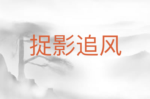捉影追风