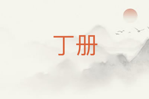 丁册