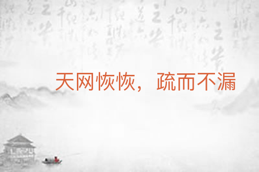 天网恢恢,疏而不漏