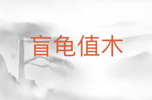 盲龟值木