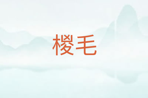 椶毛