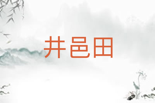 井邑田