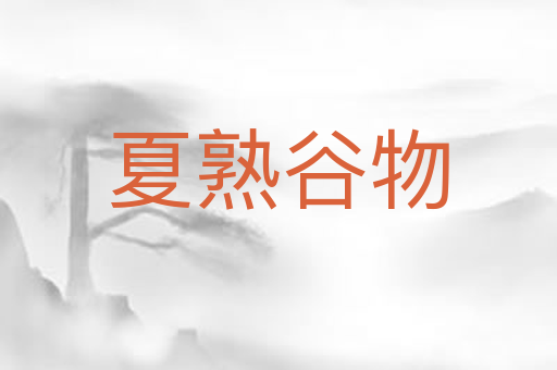 夏熟谷物