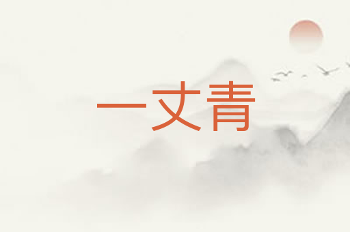 一丈青