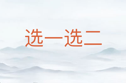 选一选二