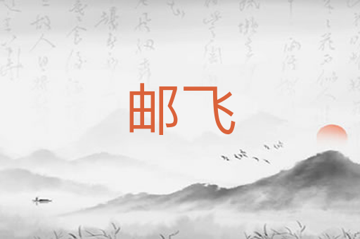 邮飞